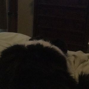 Meet your Posher, Stacey